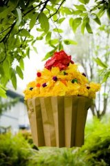 pinata.jpg pinata.jpg
