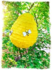pinata1.jpg pinata1.jpg